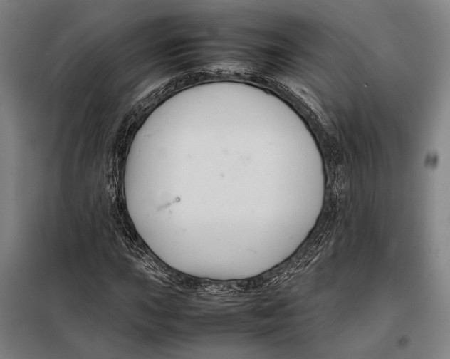 X0000097901015200804041432