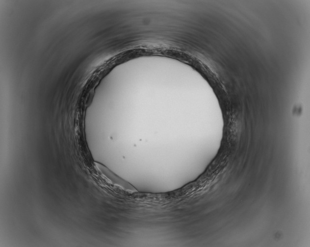 X0000097901016200804041432