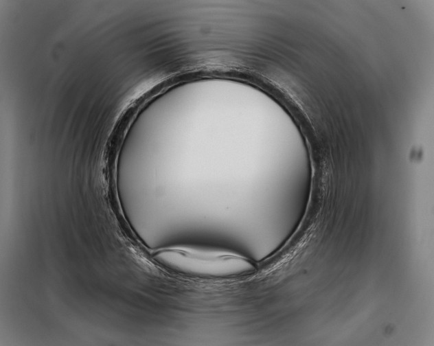 X0000097901018200804041432