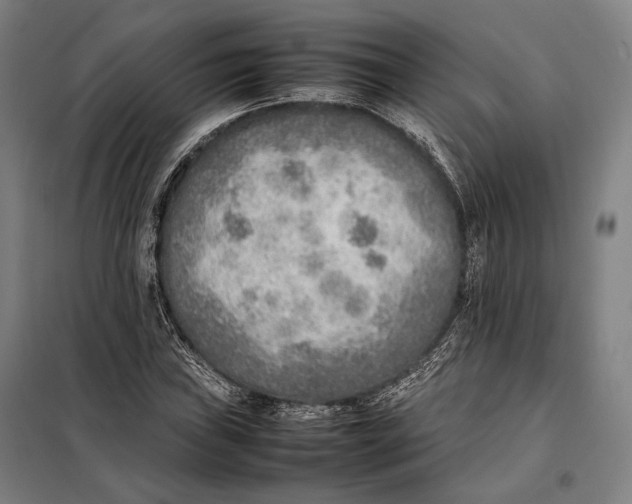 X0000097901019200804041432