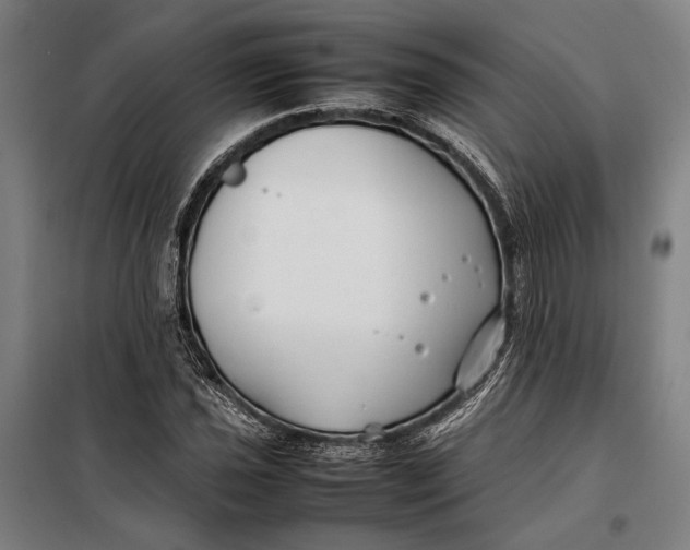 X0000097901021200804041432