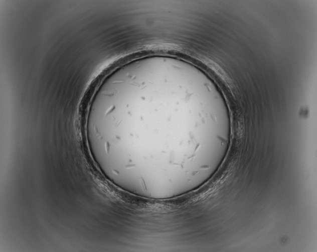 X0000097901022200804041432