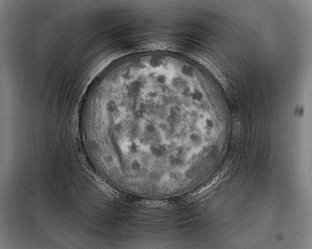 X0000097901023200804041432