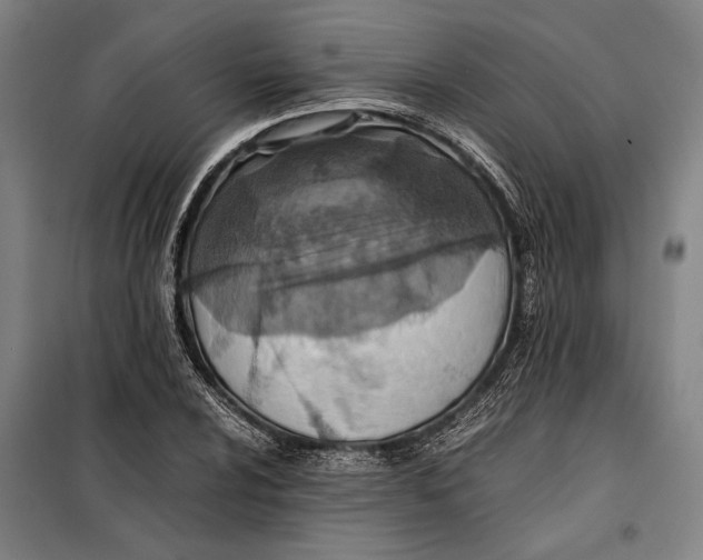 X0000097901024200804041432