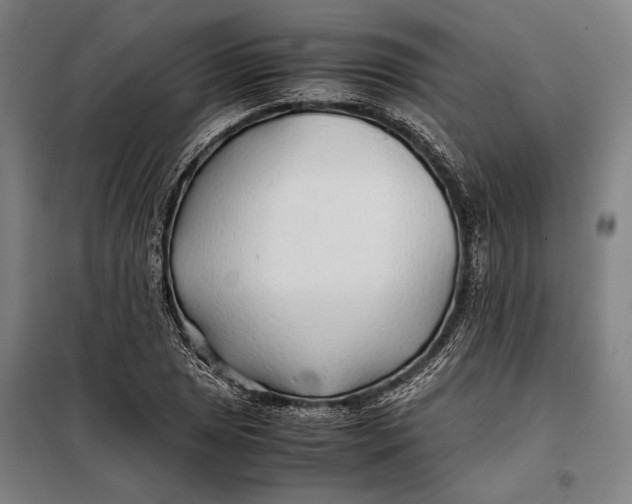 X0000097901025200804041432