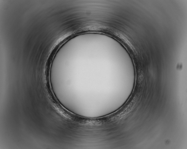 X0000097901026200804041432