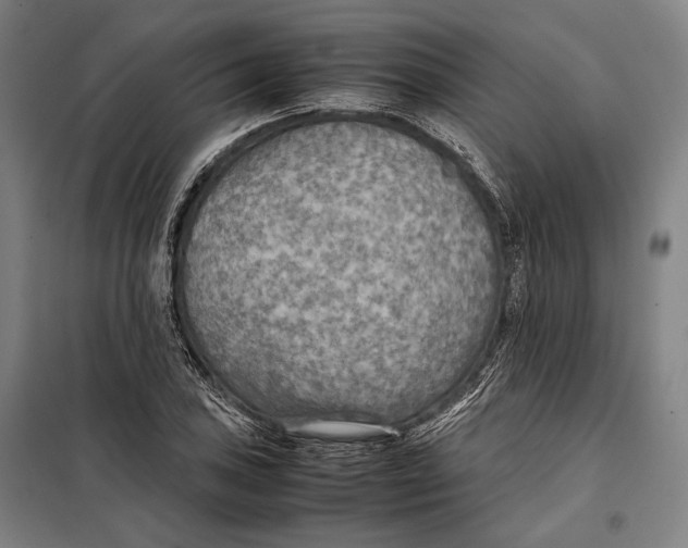 X0000097901027200804041432