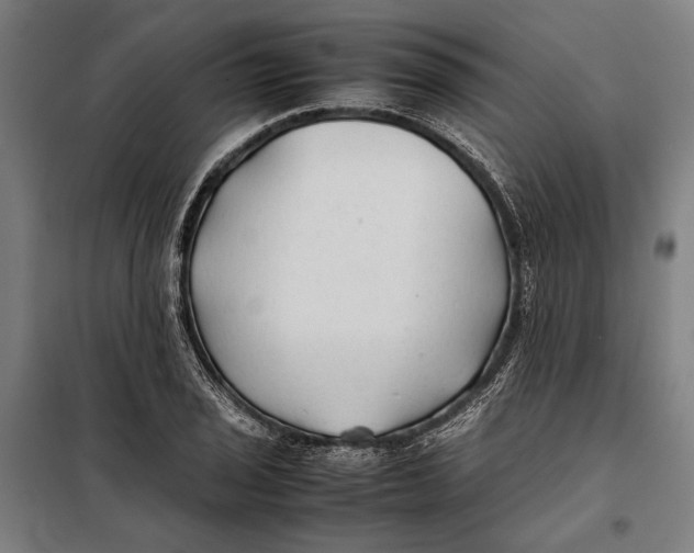 X0000097901029200804041432