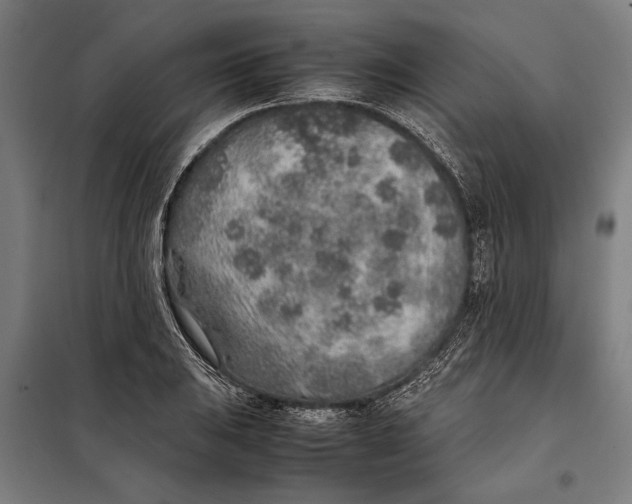 X0000097901031200804041432