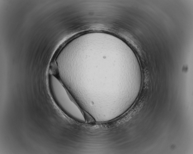 X0000097901032200804041432