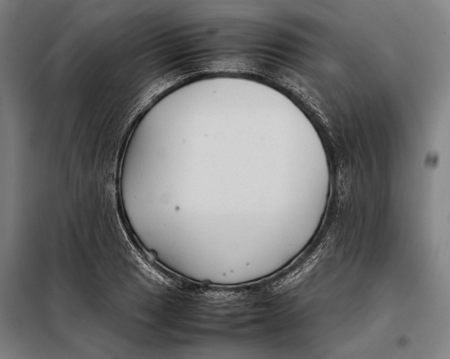 X0000097901033200804041432