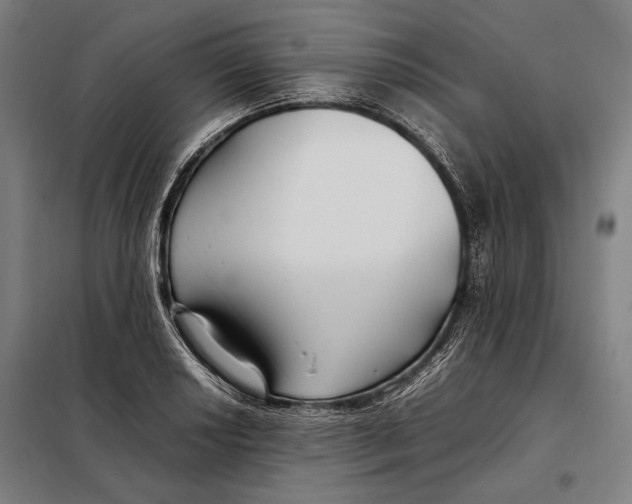 X0000097901034200804041432