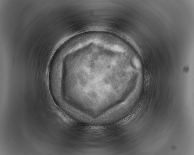 X0000097901035200804041432