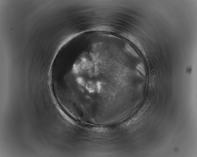 X0000097901037200804041432