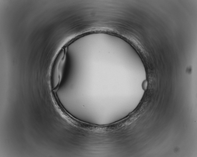 X0000097901038200804041433