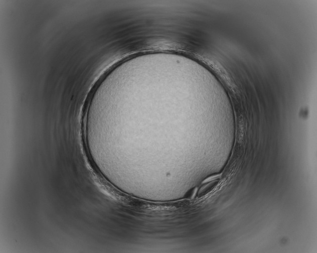 X0000097901039200804041433