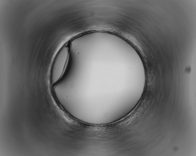 X0000097901040200804041433