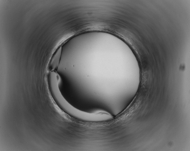 X0000097901042200804041433