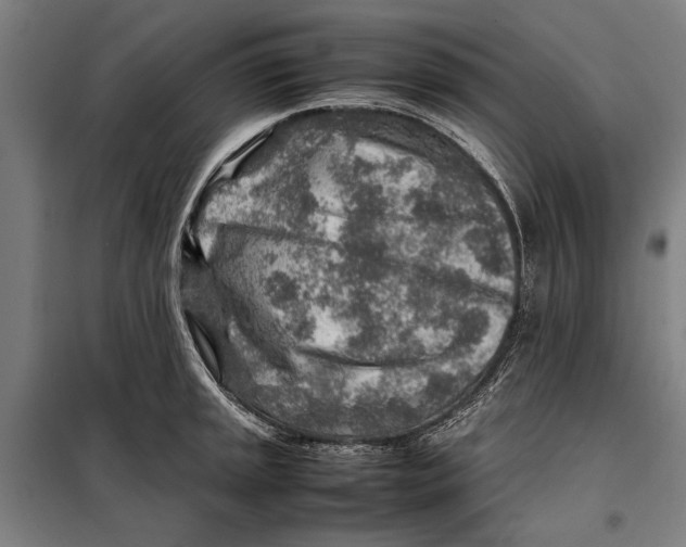 X0000097901045200804041433