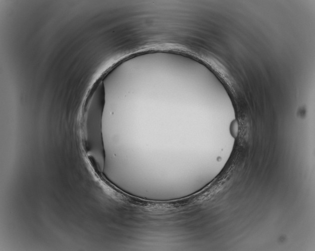 X0000097901046200804041433