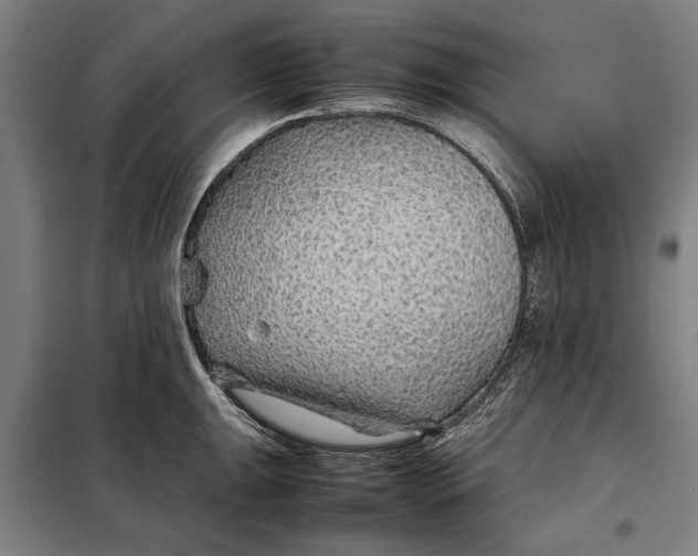 X0000097901047200804041433