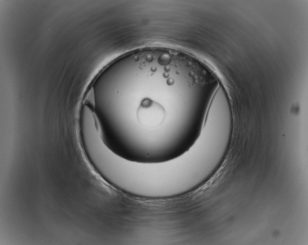 X0000097901048200804041433