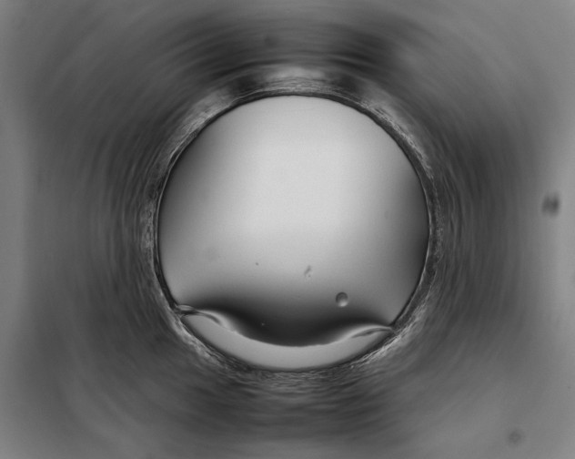 X0000097901049200804041433