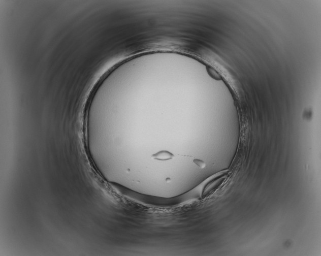 X0000097901051200804041433