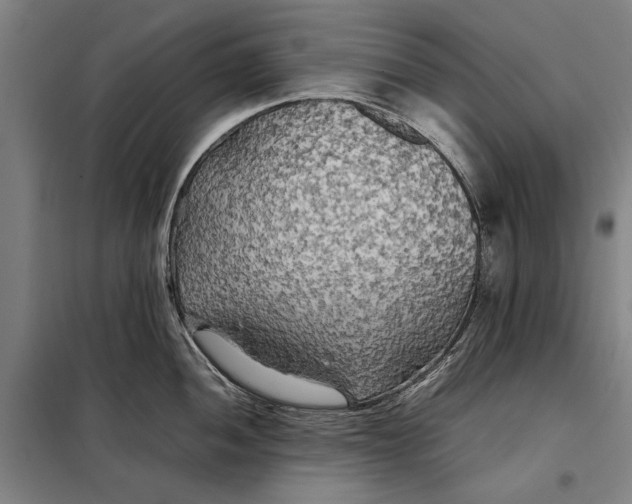 X0000097901052200804041433