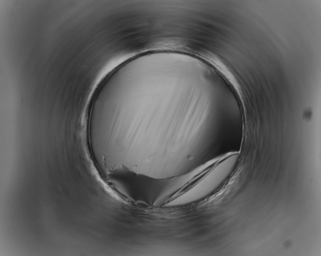 X0000097901053200804041433