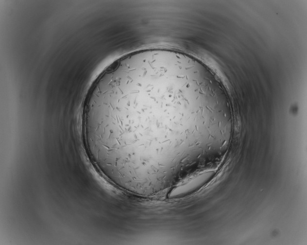 X0000097901054200804041433