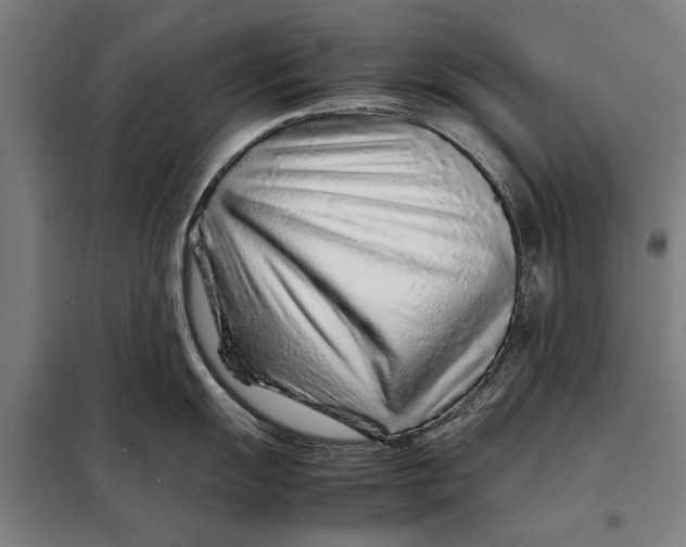 X0000097901055200804041433