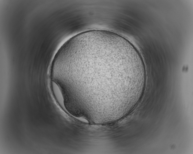 X0000097901056200804041433