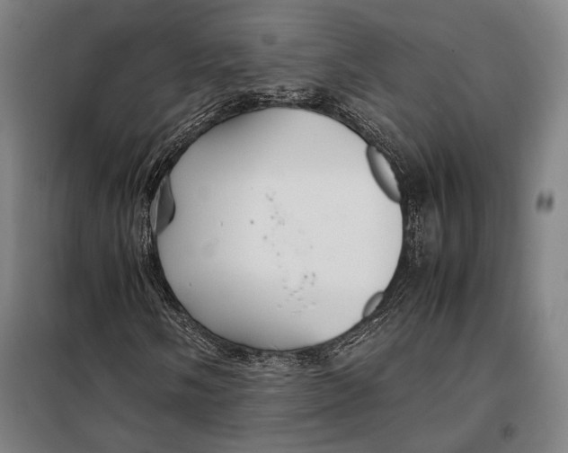 X0000097901058200804041432