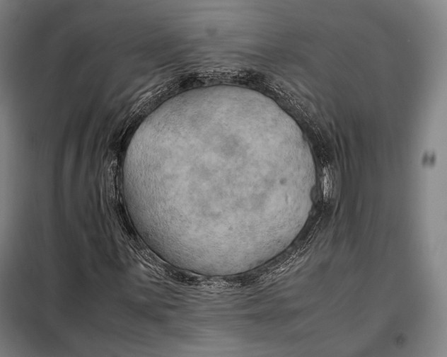 X0000097901059200804041432