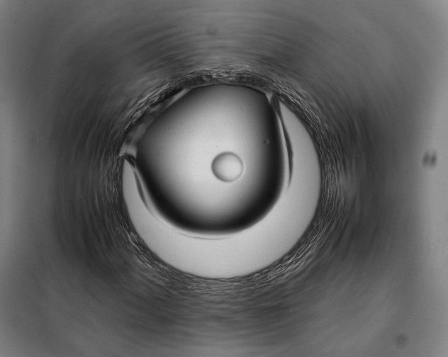 X0000097901060200804041432