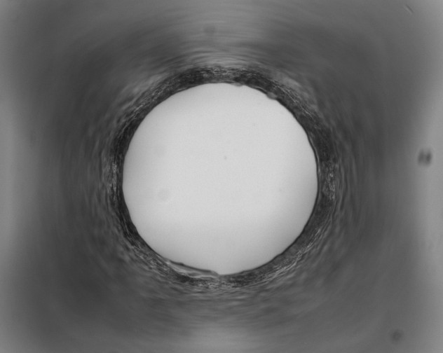 X0000097901061200804041432