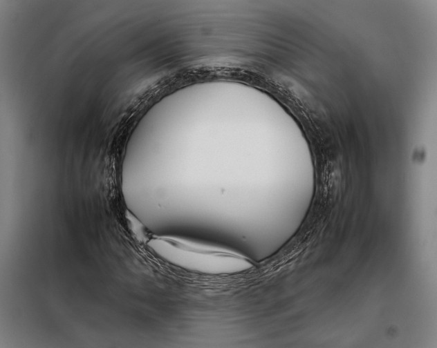 X0000097901062200804041432