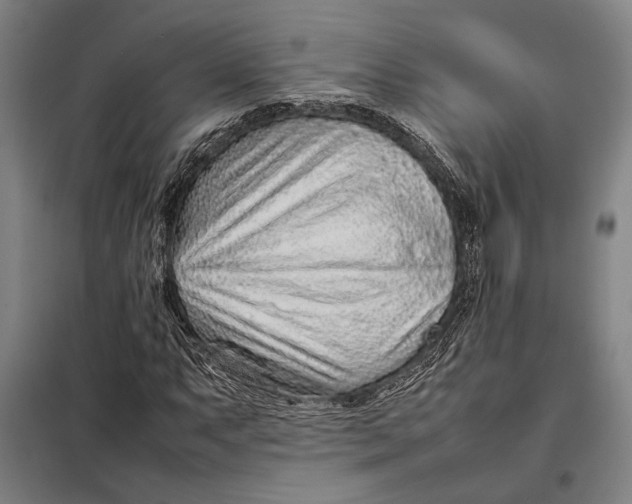 X0000097901063200804041432