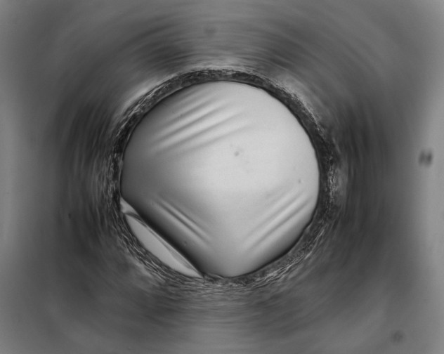 X0000097901064200804041432