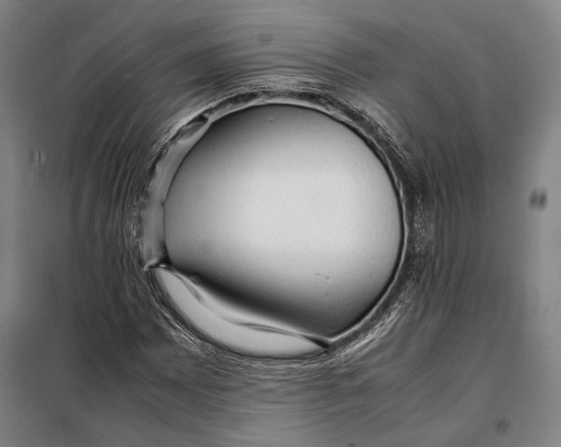 X0000097901065200804041432