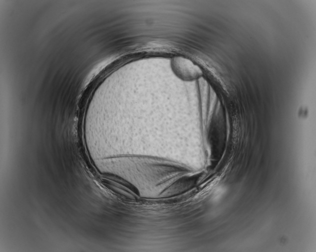 X0000097901066200804041432