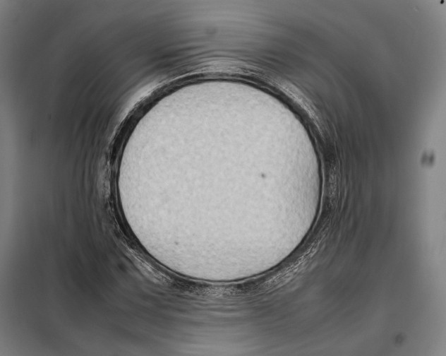 X0000097901067200804041432