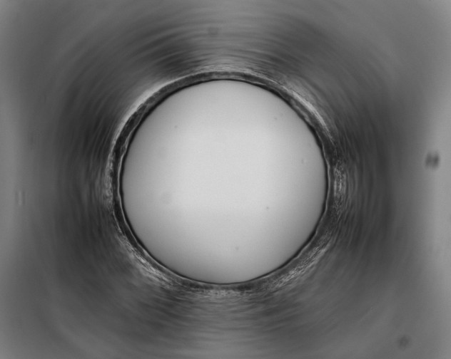 X0000097901068200804041432