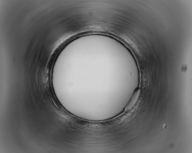 X0000097901070200804041432