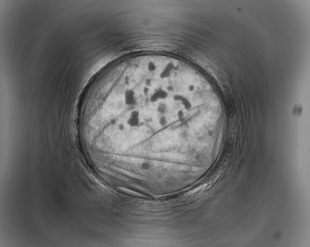 X0000097901071200804041432