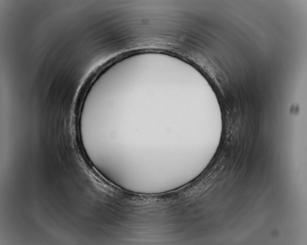 X0000097901072200804041432