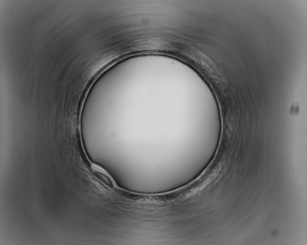 X0000097901073200804041432