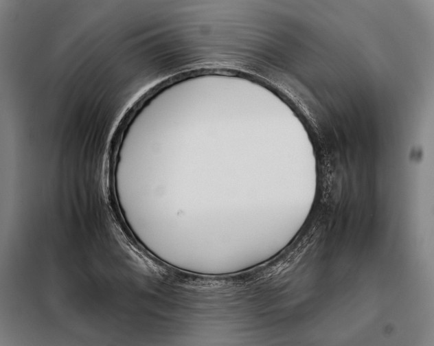 X0000097901076200804041432