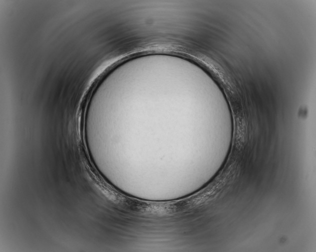 X0000097901078200804041432